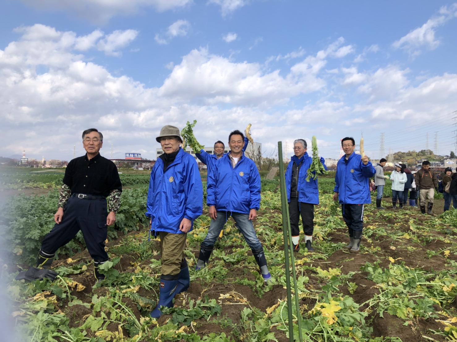 2018年11月 大根の収穫