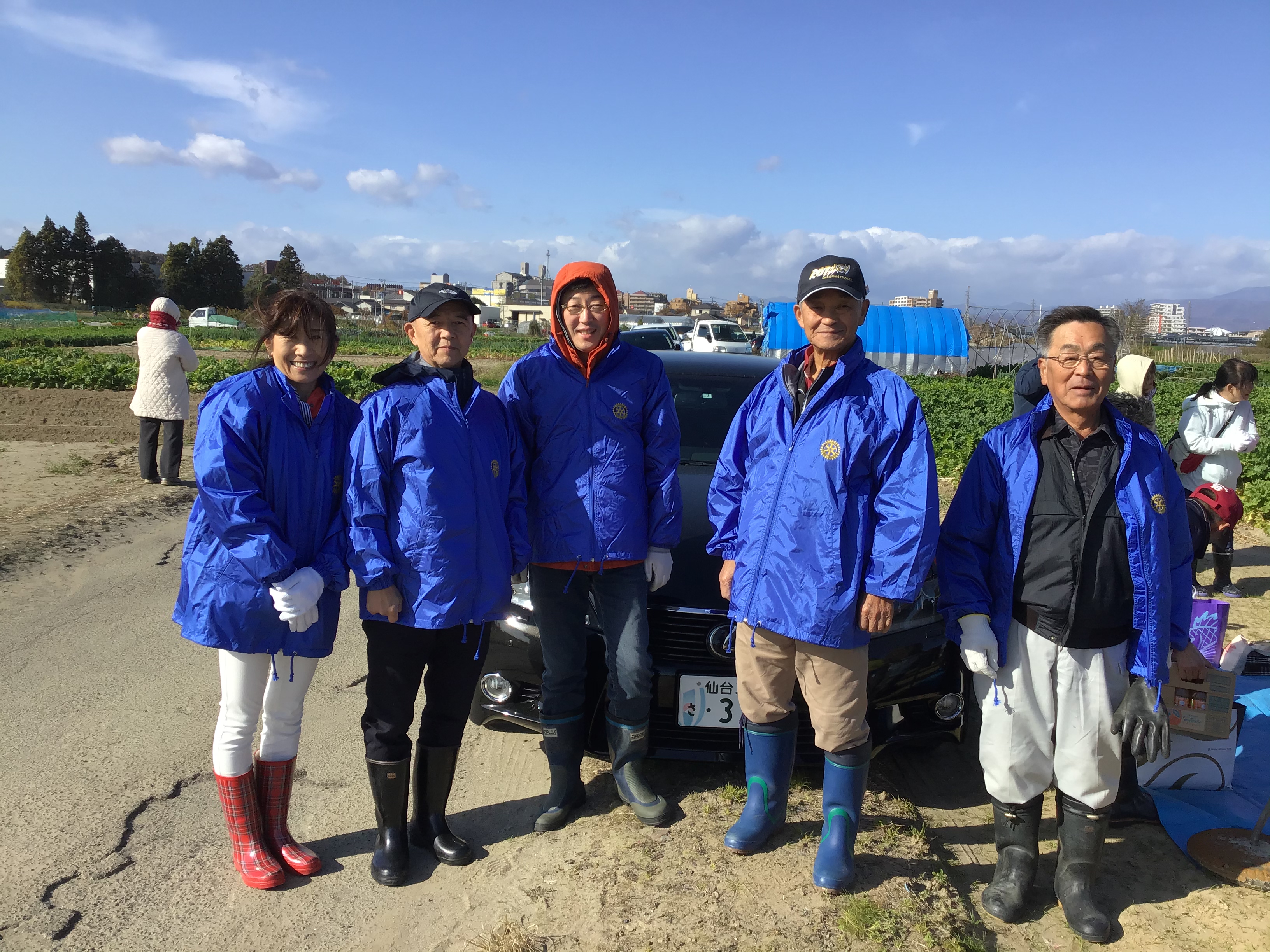 2019年11月大根の収穫