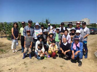 2017年8月 大根の種まき